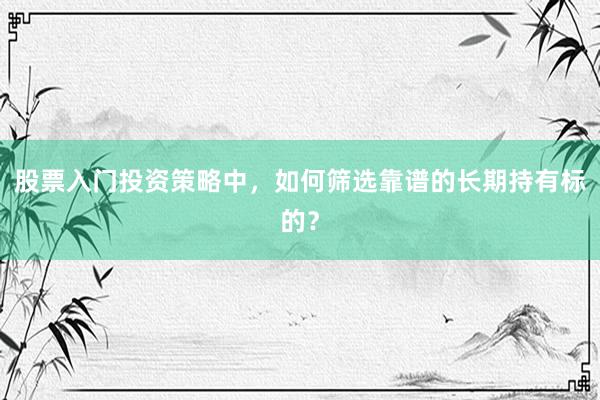 股票入门投资策略中，如何筛选靠谱的长期持有标的？