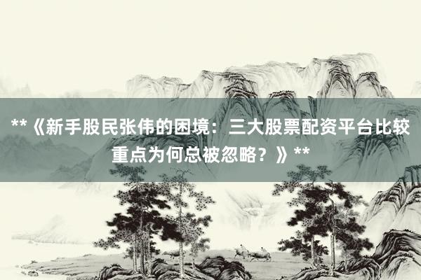 **《新手股民张伟的困境：三大股票配资平台比较重点为何总被忽略？》**