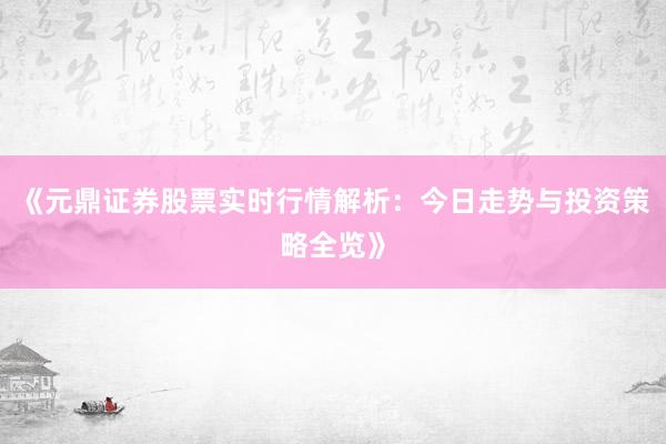 《元鼎证券股票实时行情解析：今日走势与投资策略全览》