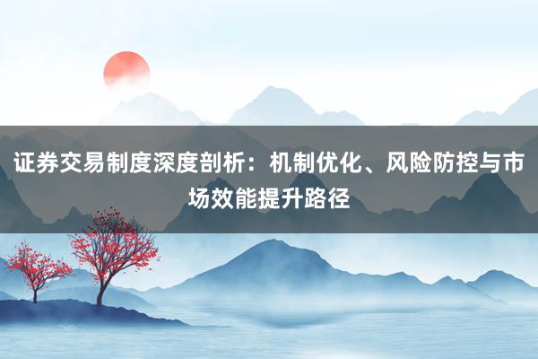 证券交易制度深度剖析：机制优化、风险防控与市场效能提升路径