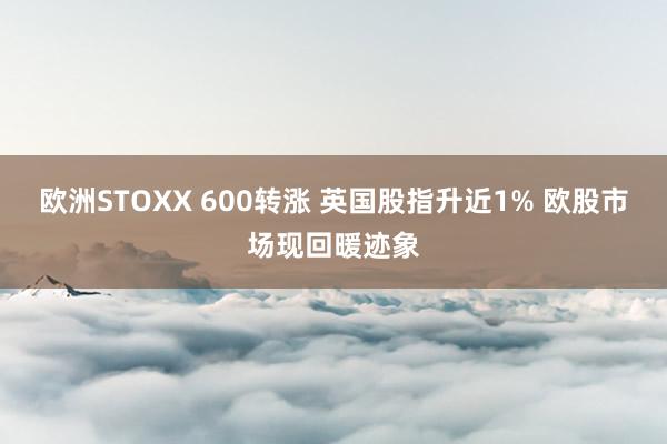 欧洲STOXX 600转涨 英国股指升近1% 欧股市场现回暖迹象